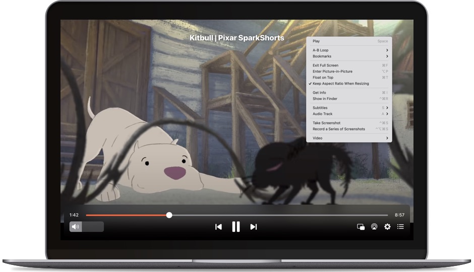 flash video recorder for mac
